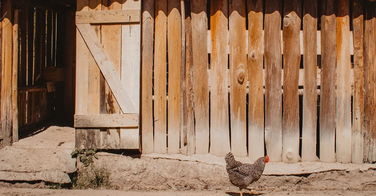 découvrez la recette traditionnelle du poulet vallée d’auge, un plat normand savoureux à base de poulet, de pommes, de calvados et de crème fraîche.