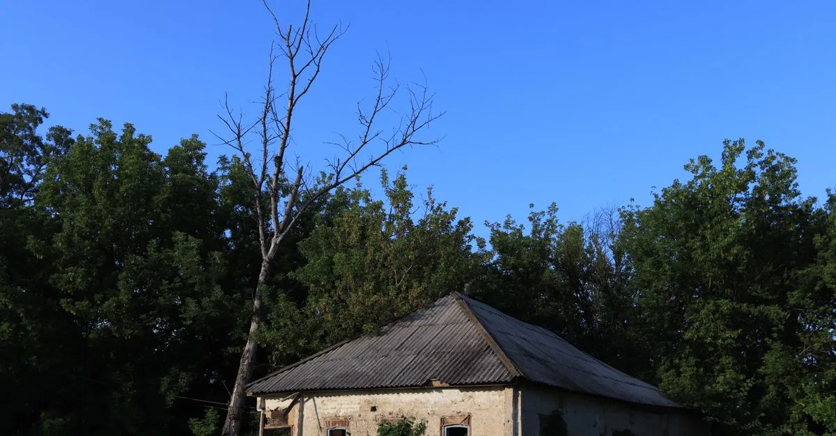découvrez l'histoire fascinante derrière une maison abandonnée, un lieu chargé de mystères et d'aventures oubliées.