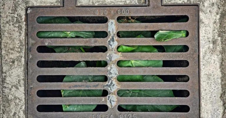 découvrez tout sur le drainage : techniques, avantages et conseils pour évacuer efficacement l'eau et prévenir l'humidité.