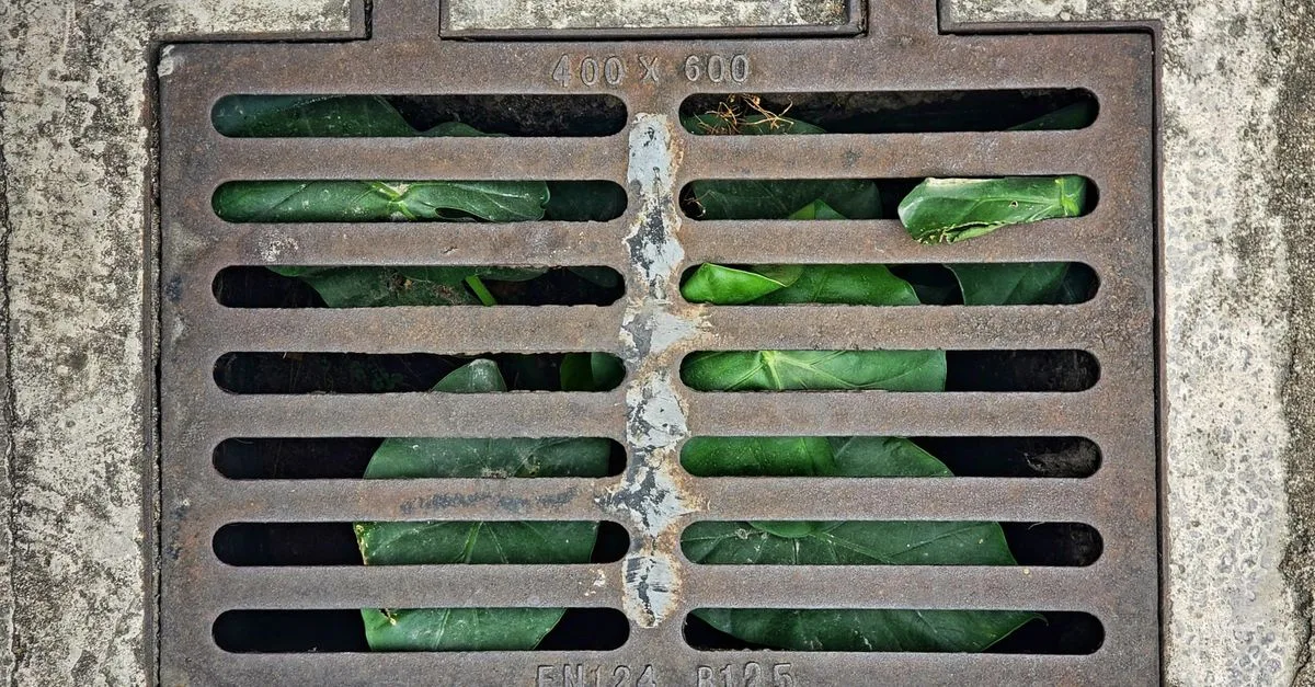 découvrez tout sur le drainage : techniques, avantages et conseils pour évacuer efficacement l'eau et prévenir l'humidité.