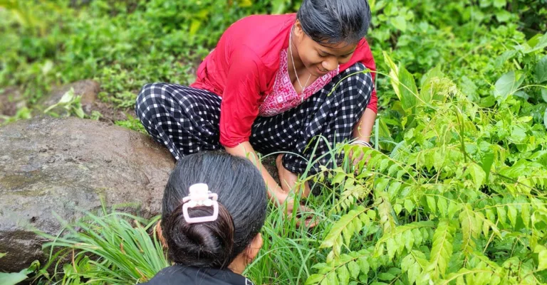découvrez l'agriculture écologique : des méthodes durables et respectueuses de l'environnement pour préserver la biodiversité et promouvoir une production saine.