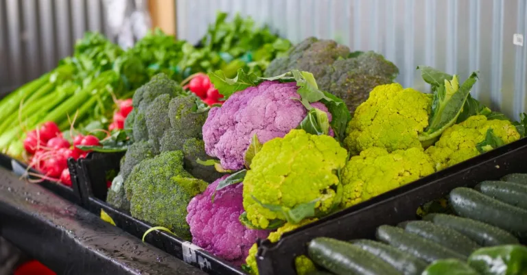 découvrez tout sur les légumes : leurs bienfaits, variétés et astuces pour les cuisiner sainement au quotidien.