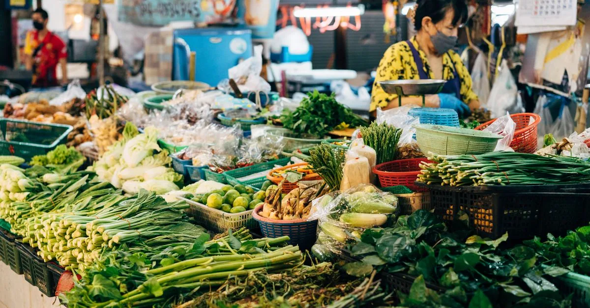 découvrez tout sur les légumes : leurs bienfaits, variétés, conseils de culture et recettes saines pour une alimentation équilibrée.