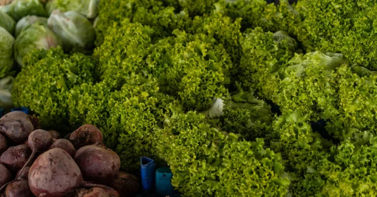 découvrez tout sur les légumes : leurs bienfaits, différentes variétés, conseils de préparation et recettes savoureuses pour une alimentation saine.