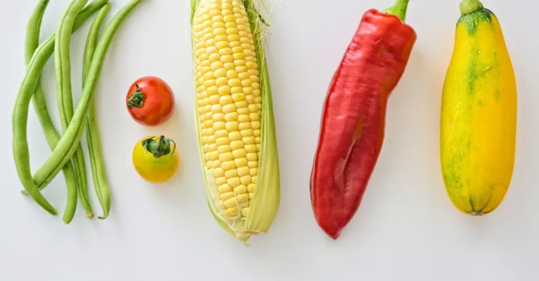 découvrez notre sélection variée de légumes frais et savoureux, riches en vitamines et parfaits pour une alimentation saine et équilibrée.