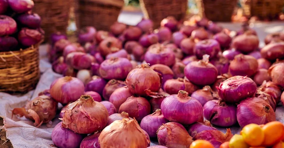 découvrez notre sélection fraîche et variée de légumes pour une alimentation saine et savoureuse.