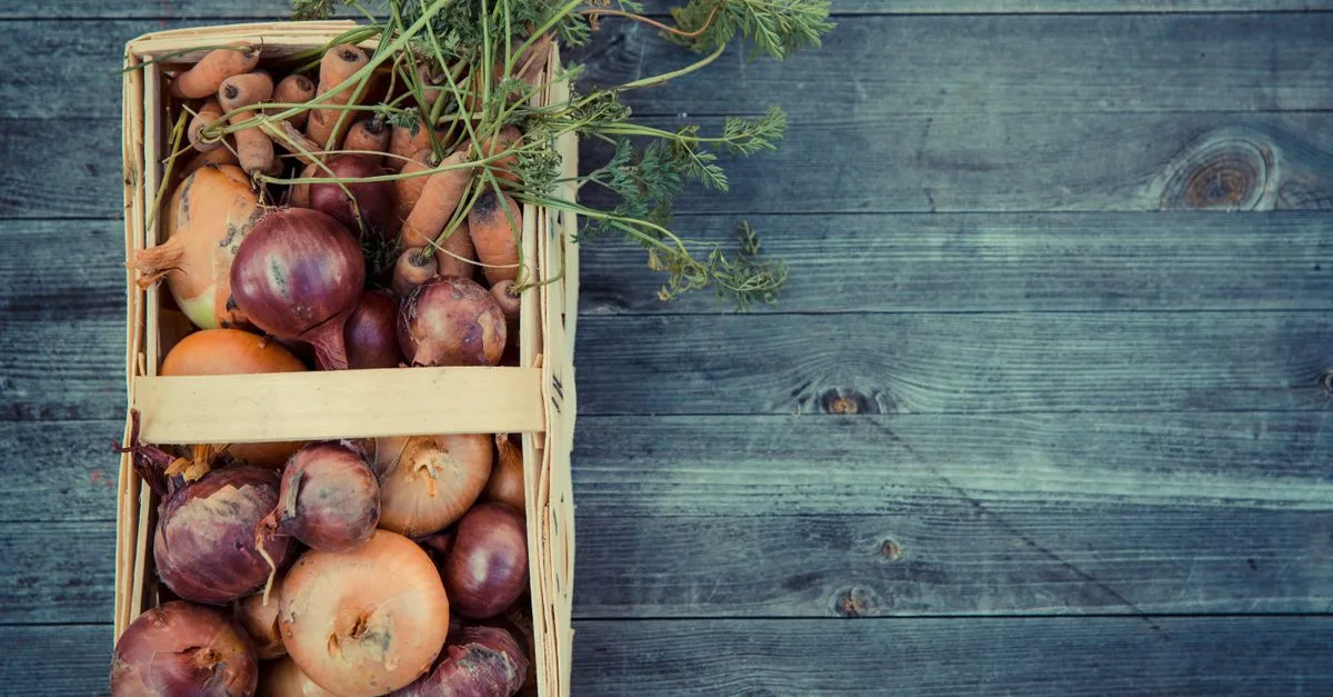 découvrez une variété de légumes frais et savoureux pour une alimentation saine et équilibrée.