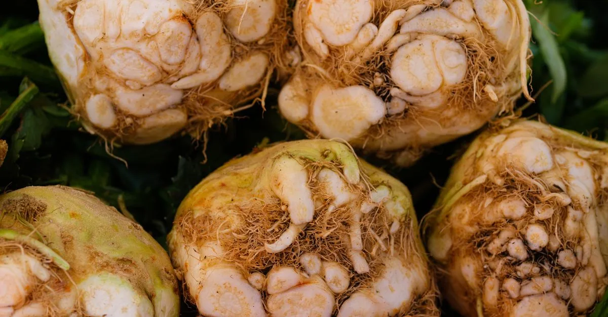 découvrez une liste complète de légumes dont le nom commence par la lettre a, pour enrichir vos recettes et votre alimentation saine.