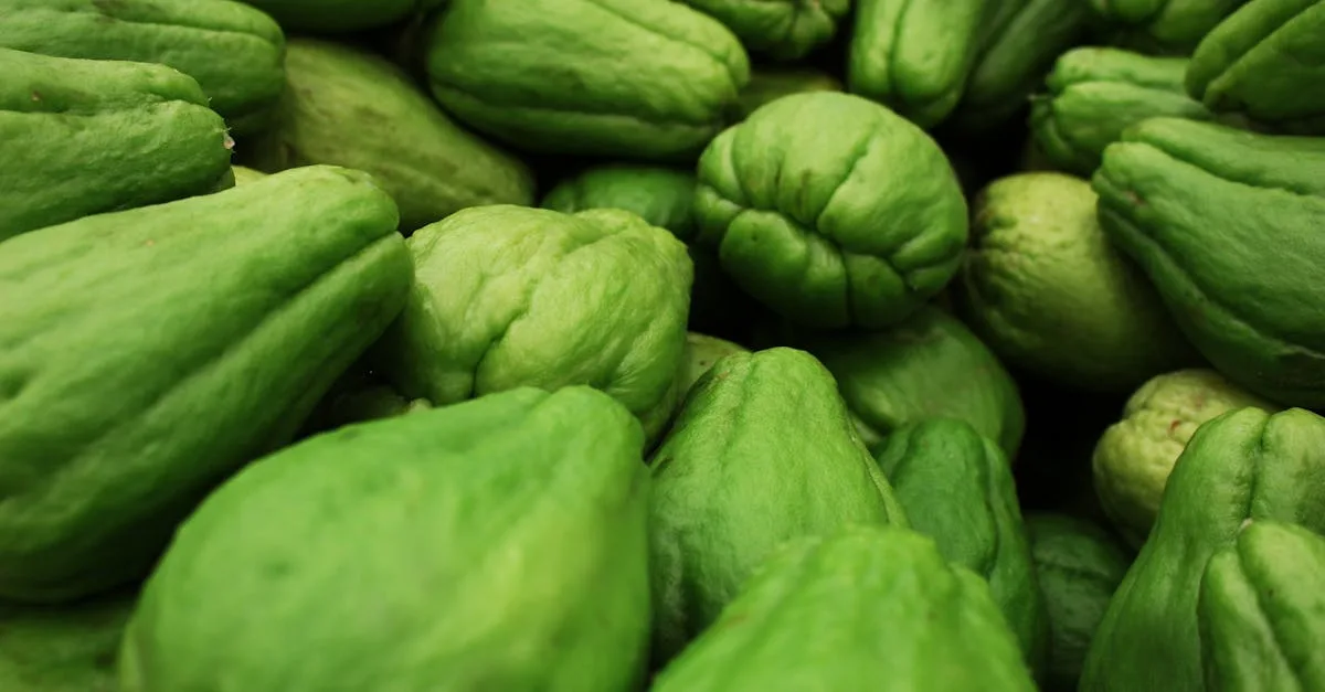 découvrez une liste complète de légumes dont le nom commence par la lettre j, idéale pour enrichir votre vocabulaire culinaire et vos recettes.