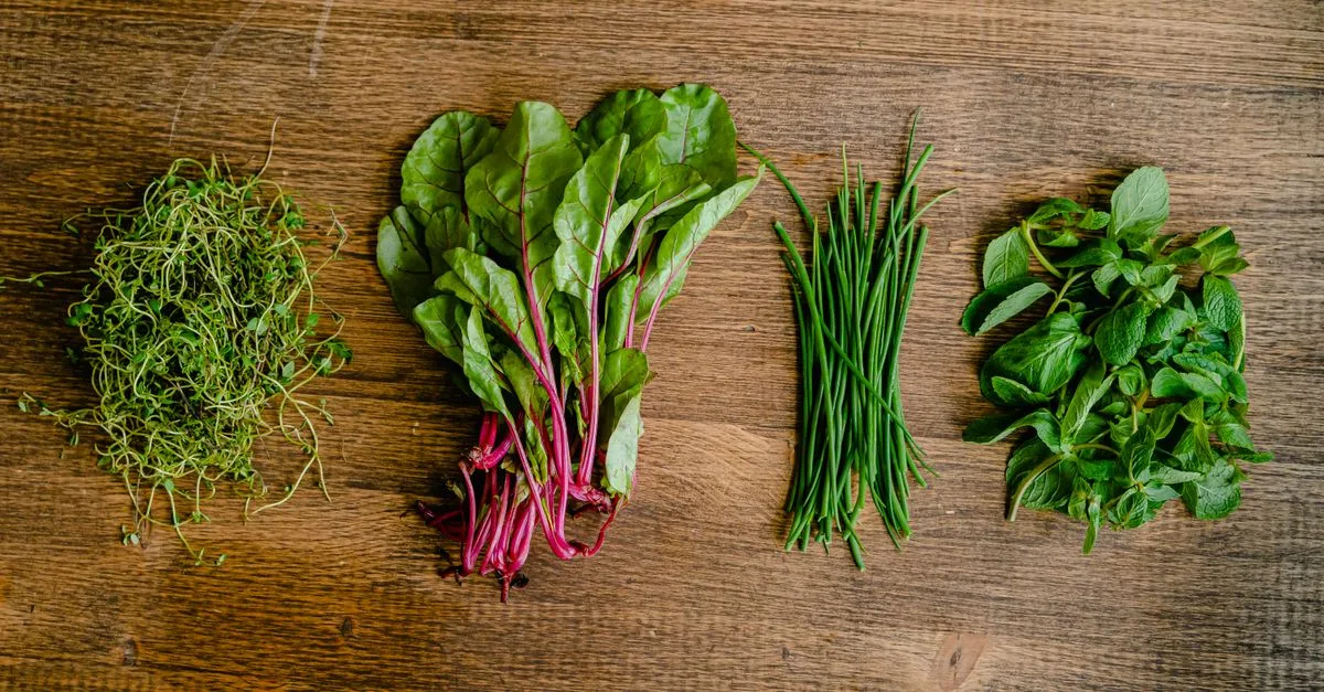 découvrez une liste de légumes dont le nom commence par la lettre s, idéale pour varier vos recettes et découvrir de nouvelles saveurs.