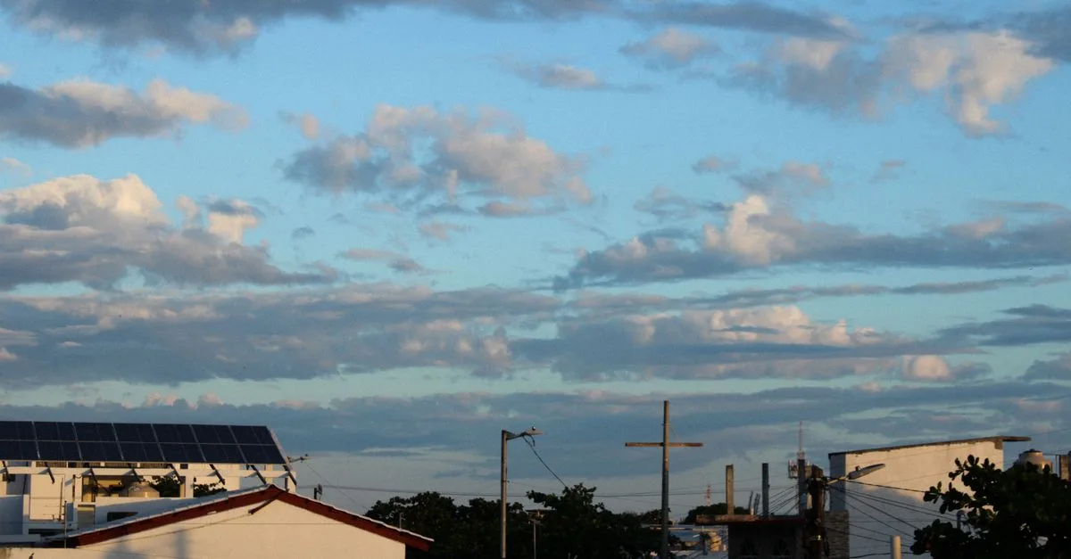 découvrez nos panneaux solaires de haute qualité pour une énergie propre, économique et durable. profitez d'une installation facile et d'une performance optimale toute l'année.