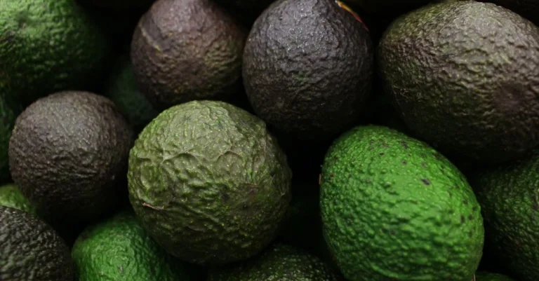 découvrez tout sur l'avocat : bienfaits, recettes savoureuses et conseils pour choisir un avocat parfait.