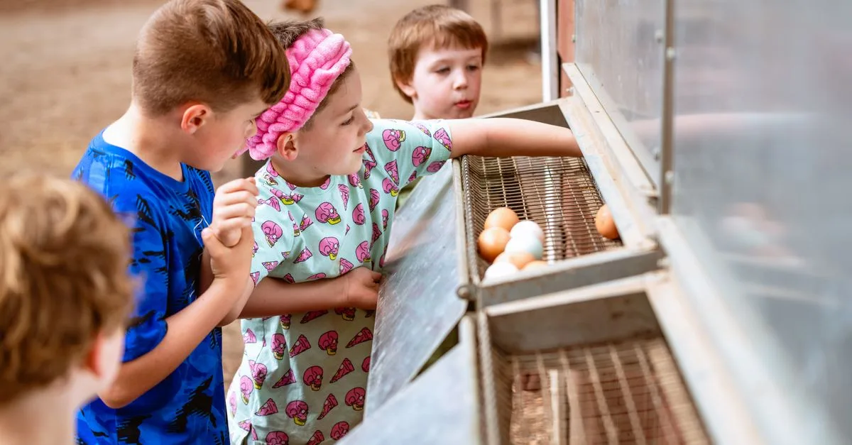 découvrez des activités éducatives à la ferme pour apprendre en s'amusant, adaptées à tous les âges et favorisant la découverte de la nature et des animaux.