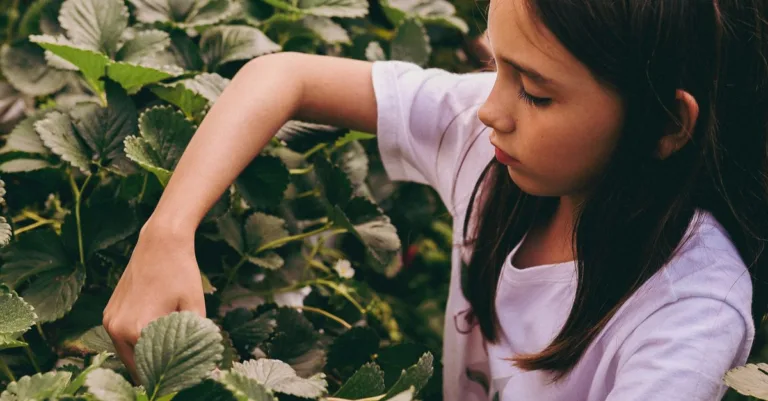 découvrez des activités éducatives à la ferme pour apprendre en s'amusant, adaptées à tous les âges pour une expérience enrichissante en pleine nature.