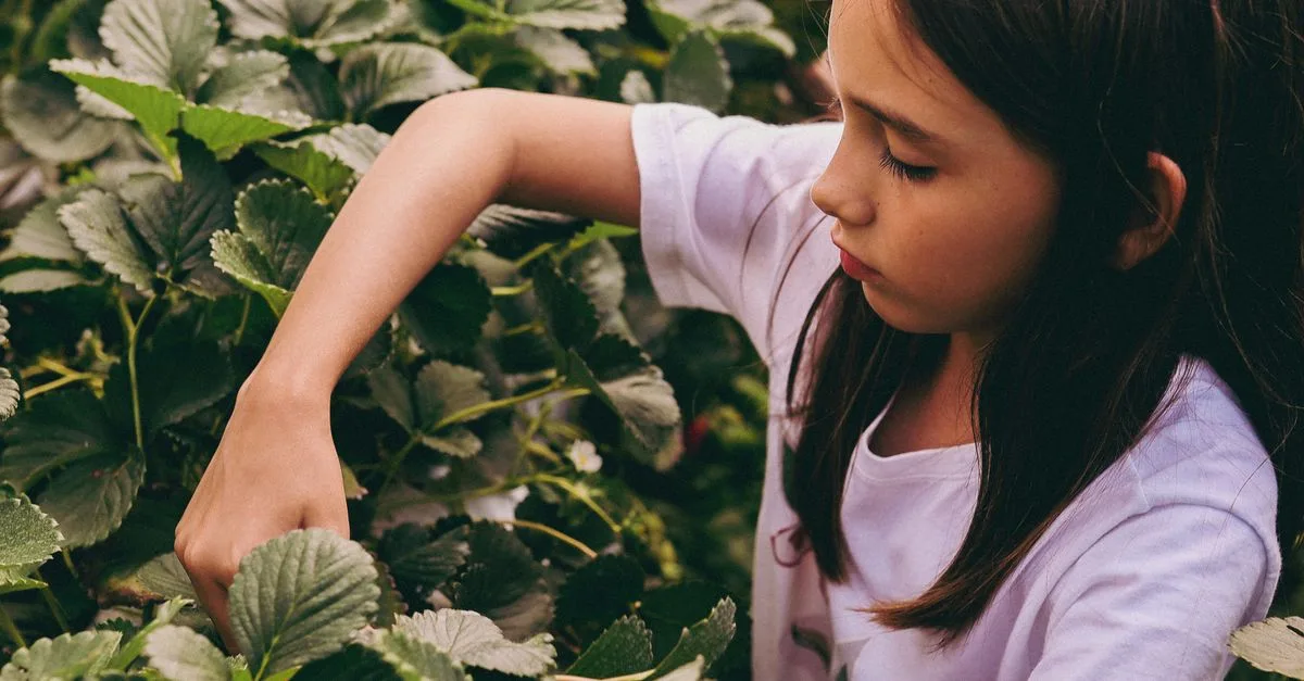 découvrez des activités éducatives à la ferme pour apprendre en s'amusant, adaptées à tous les âges pour une expérience enrichissante en pleine nature.