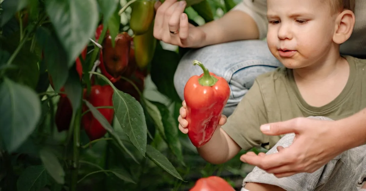 découvrez des activités pédagogiques à la ferme pour apprendre en s'amusant, adaptées à tous les âges et favorisant la découverte de la nature et des animaux.