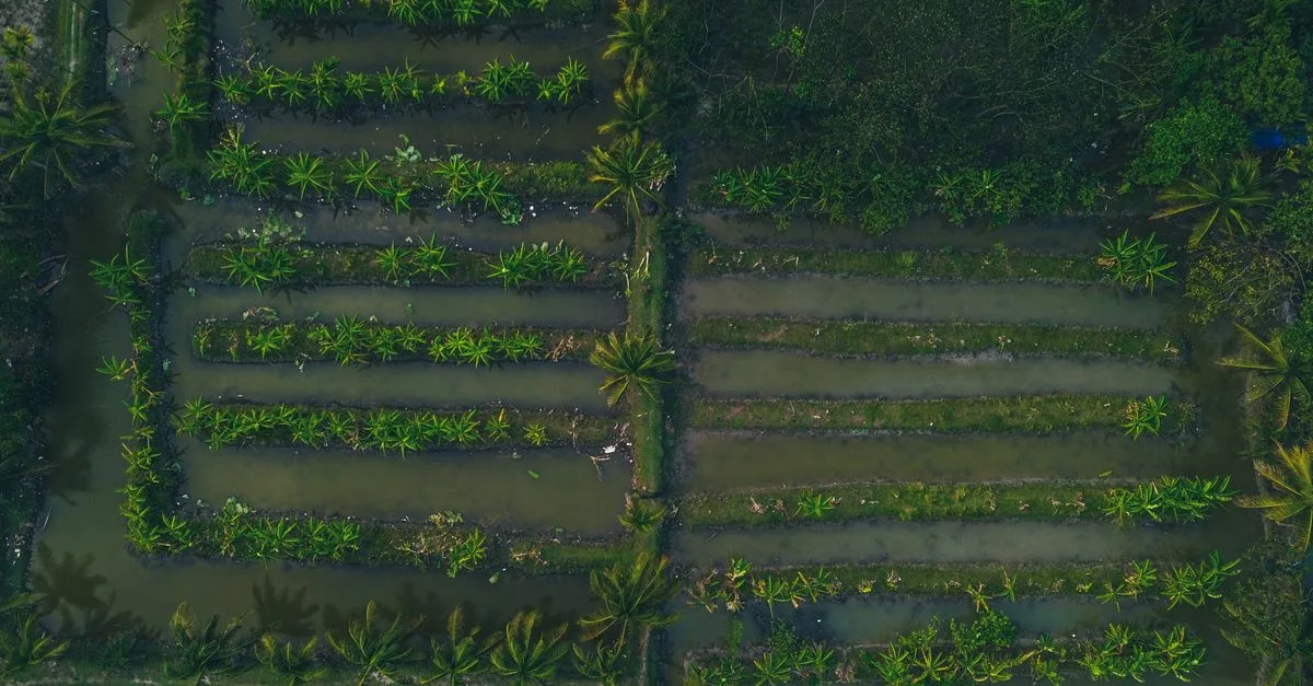 découvrez tout sur la ferme : agriculture, élevage, techniques durables et vie rurale pour un mode de vie authentique et proche de la nature.