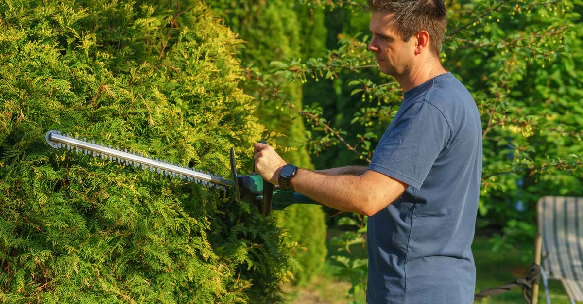 obtenez un devis personnalisé pour l'entretien de votre jardin. services professionnels pour un espace extérieur toujours soigné et agréable.
