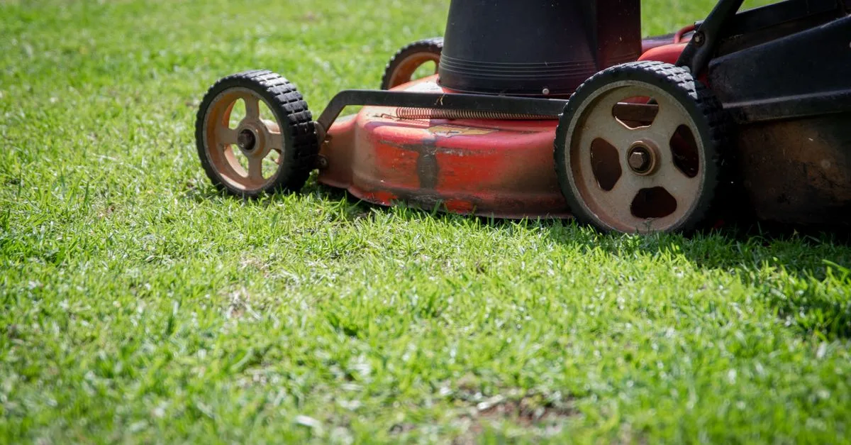 découvrez notre avis complet sur la tondeuse à gazon sterwins : performance, facilité d'utilisation et rapport qualité-prix pour entretenir votre jardin efficacement.