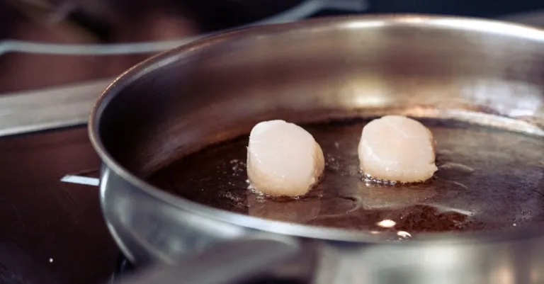 découvrez tout sur les coquilles saint-jacques : recettes, conseils de cuisson et bienfaits pour la santé.