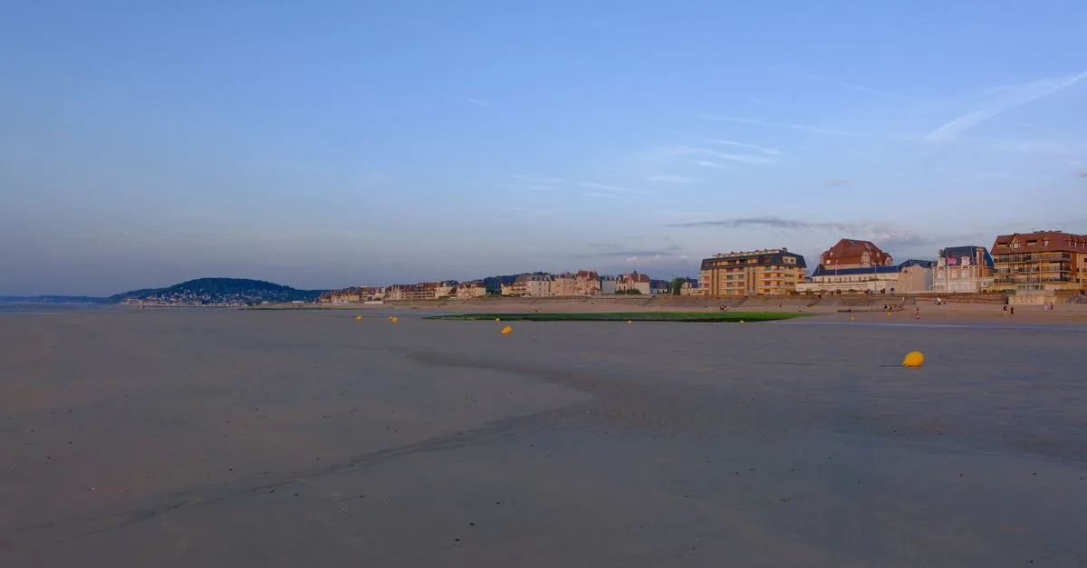 découvrez la sole de normandie, un poisson délicat aux saveurs marines, et savourez une spécialité emblématique de la cuisine normande.