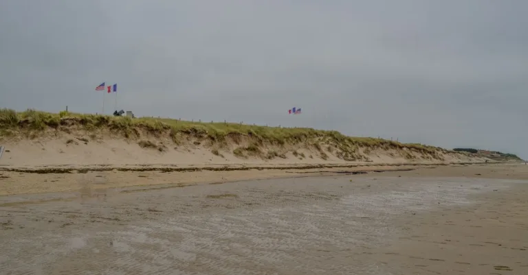 découvrez la sole de normandie, un poisson délicat apprécié pour sa chair fine et savoureuse, et explorez des idées pour la préparer.