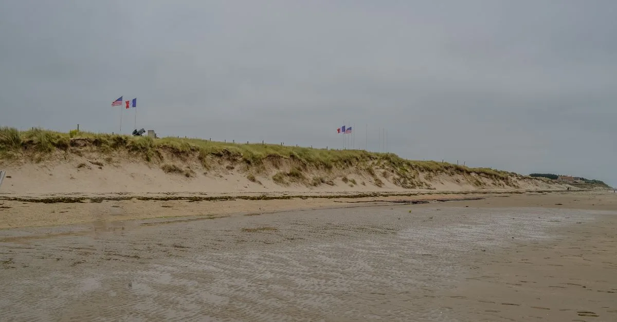 découvrez la sole de normandie, un poisson délicat apprécié pour sa chair fine et savoureuse, et explorez des idées pour la préparer.