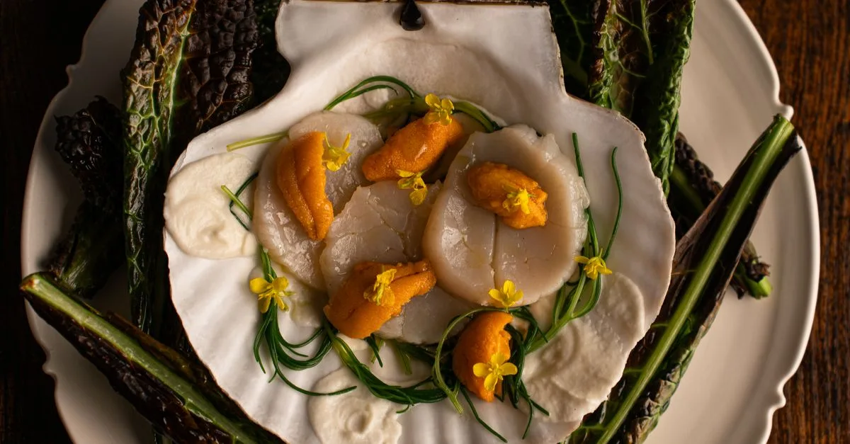 découvrez une recette raffinée de noix de saint-jacques nappées d’une savoureuse sauce au cidre, idéale pour un repas festif.